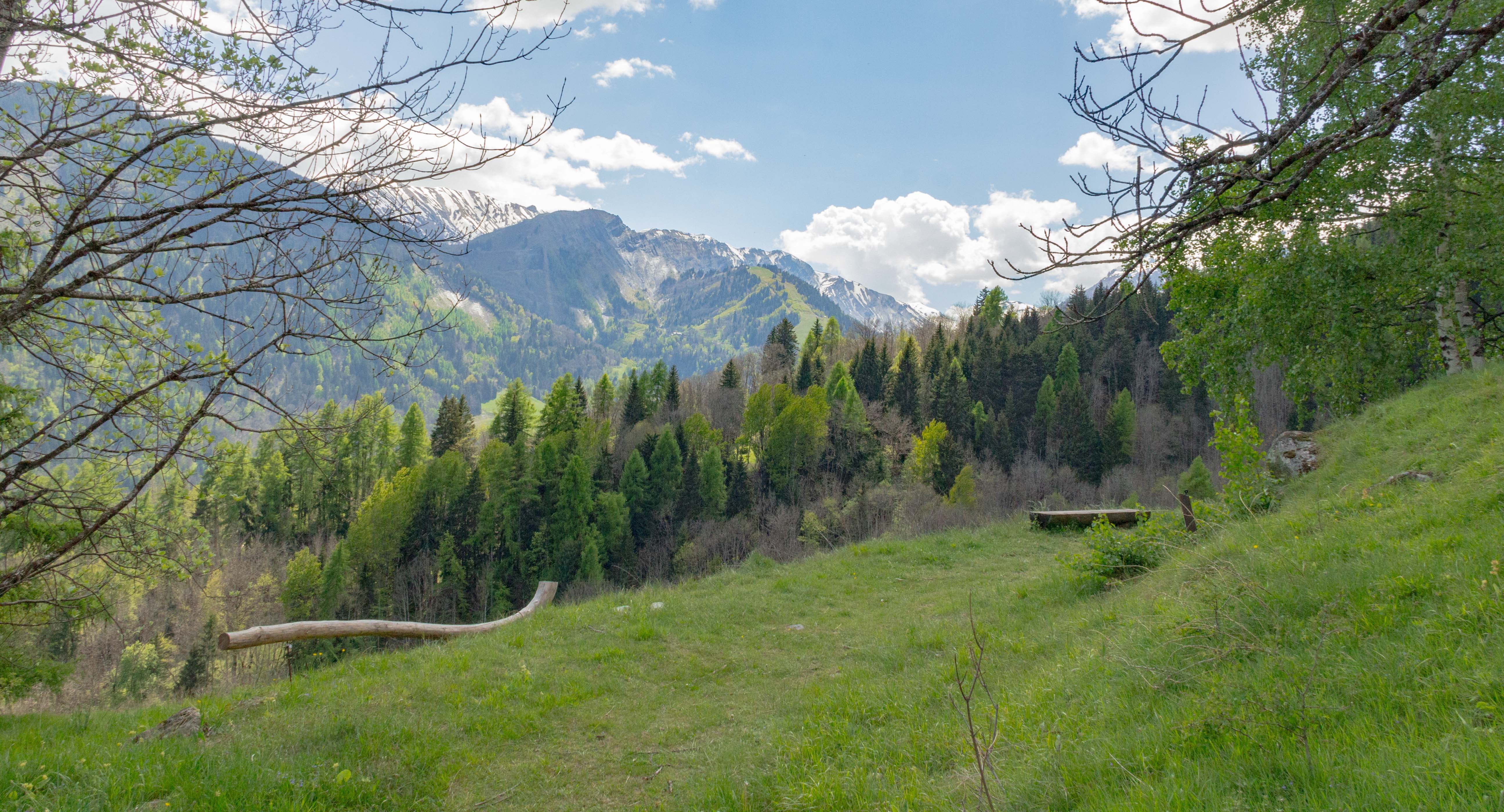 Banc du sentier balcon 2 C